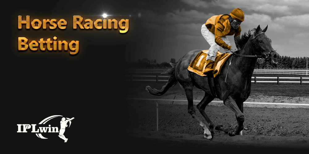 Horse Racing Betting avaliable At Lottus365